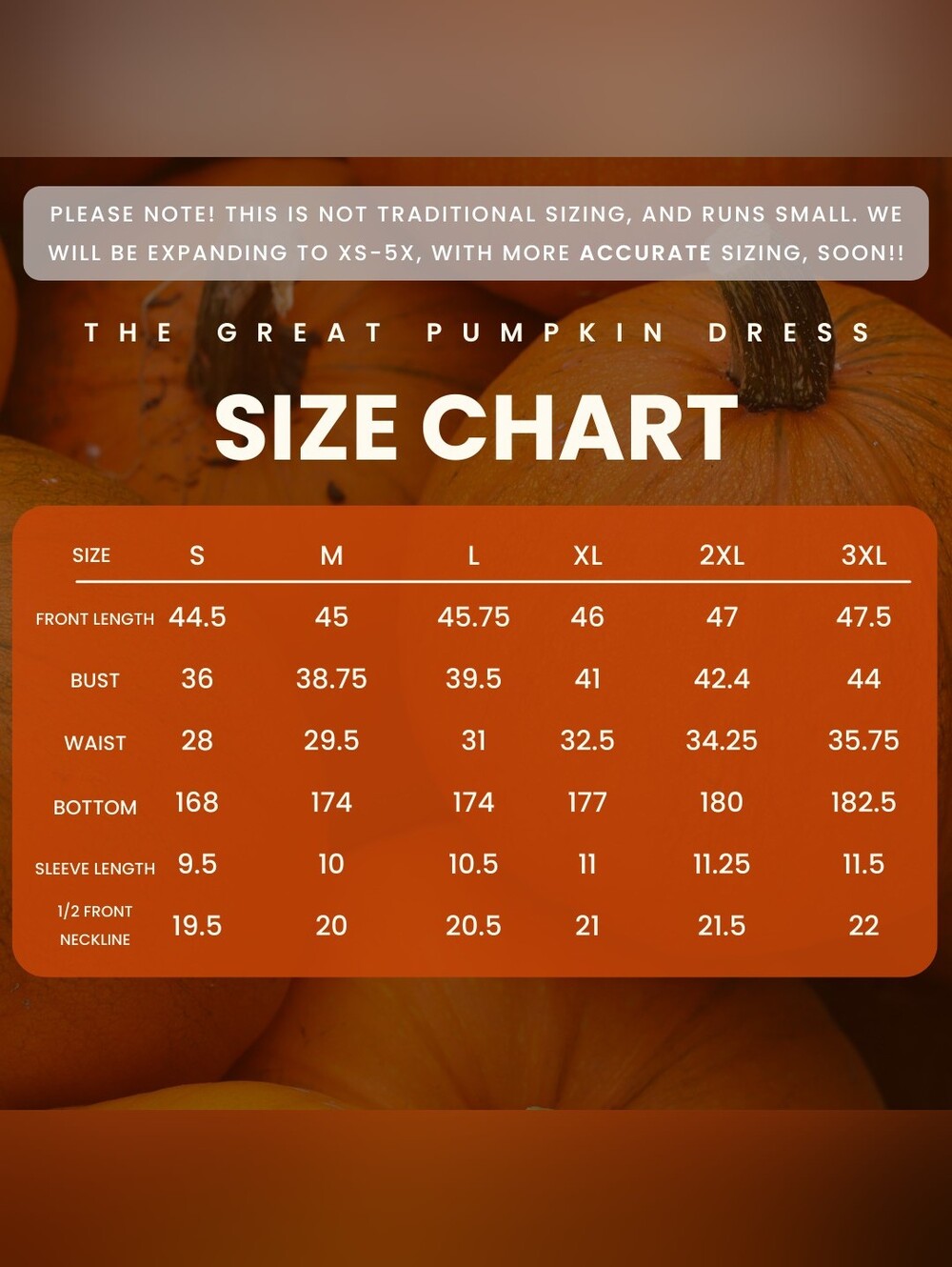 Lively Ghosts The Great Pumpkin Dress - Picture 12 of 12